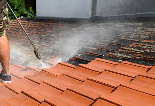 Best Deck Cleaning Services  in Clearwater, FL