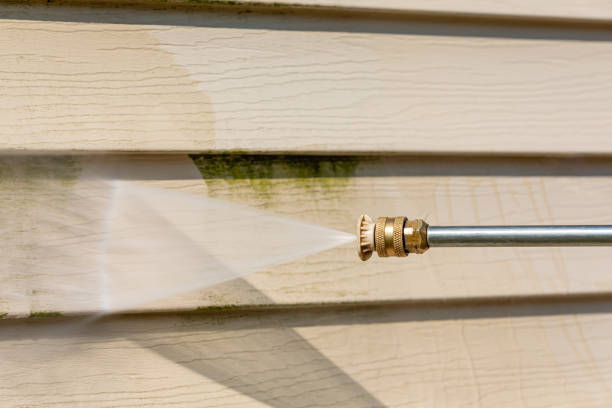 Best Affordable Power Washing  in Clearwater, FL