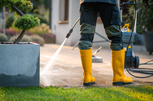 Best Affordable Pressure Washing  in Clearwater, FL